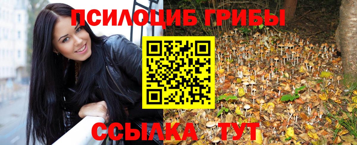 Галлюциногенные грибы Psilocybe Коркино