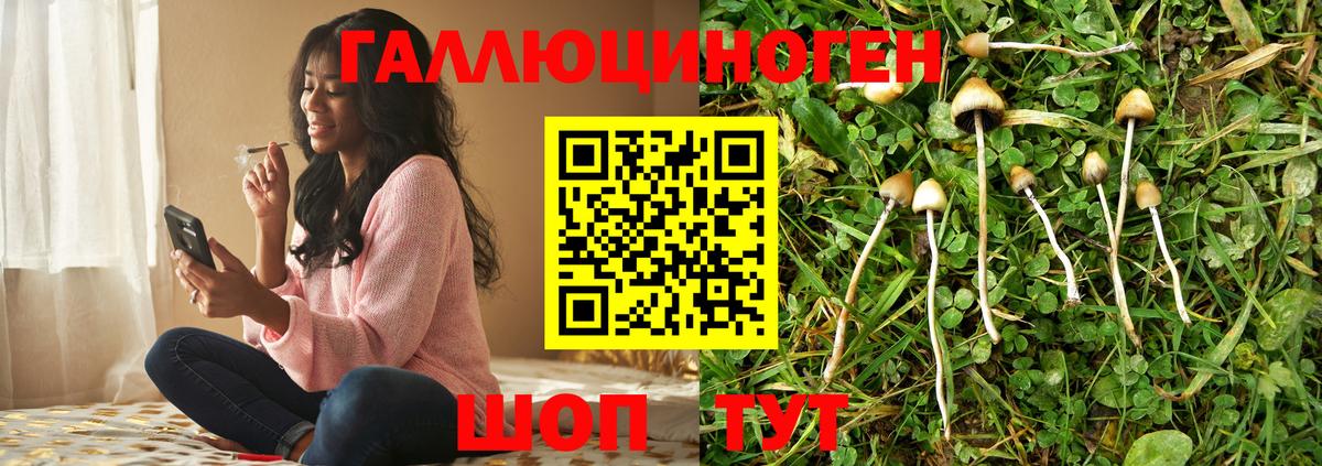 Коркино  Псилоцибиновые грибы Psilocybe  наркошоп  Вход с VPN 