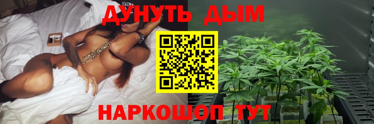 Конопля LSD WEED  Бошки марихуана сатива  Бошки марихуана SATIVA & INDICA  Вход с VPN  Коркино 